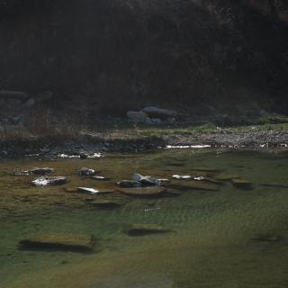 《庄子选》逍遥游第一茗雨读诵