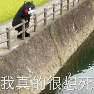 【节目延期公告】(˶‾᷄ ⁻̫ ‾᷅˵)内含诚挚道歉