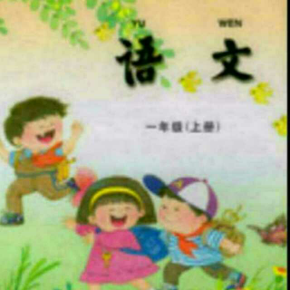 课文朗读  《看菊花》