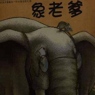 🐘老爹