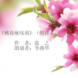 朗诵《桃花咏叹调》（组诗）（作者：张之）