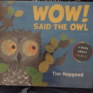 Wow！Said The Owl 