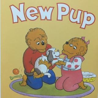 The berenstain bears-New pup