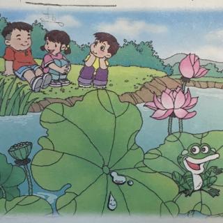 人教版小学语文一年级下册-第十四课：荷叶圆圆