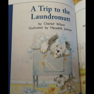 A trip to the laundromutt