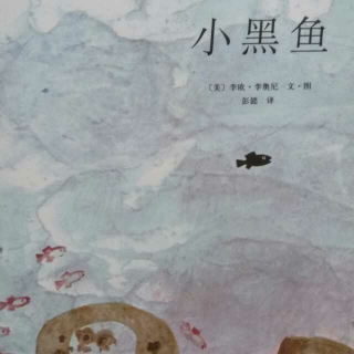 小黑鱼