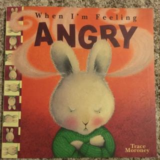 When I am feeling Angry