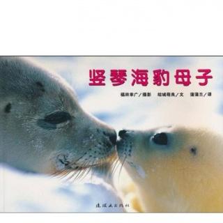 28期绘本—竖琴海豹母子【糖豆叔叔】