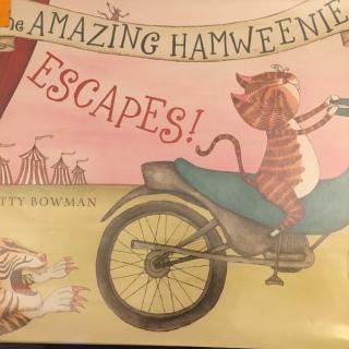 The Amazing Hamweenie Escapes 🐱