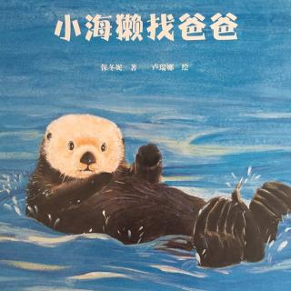 63.   小海獭找爸爸