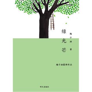 梅子涵《过年》