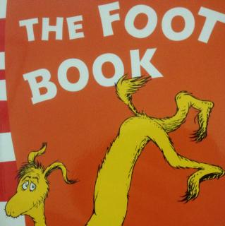 大人也能读的绘本--The Foot book