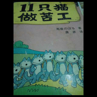 11只猫做苦工