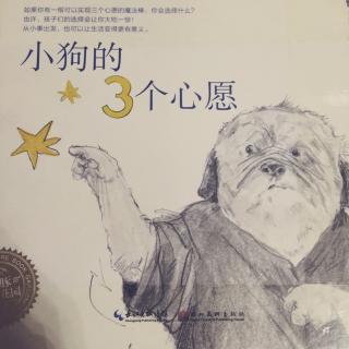 世纪星兔兔🐰广播站-小狗的3个心愿