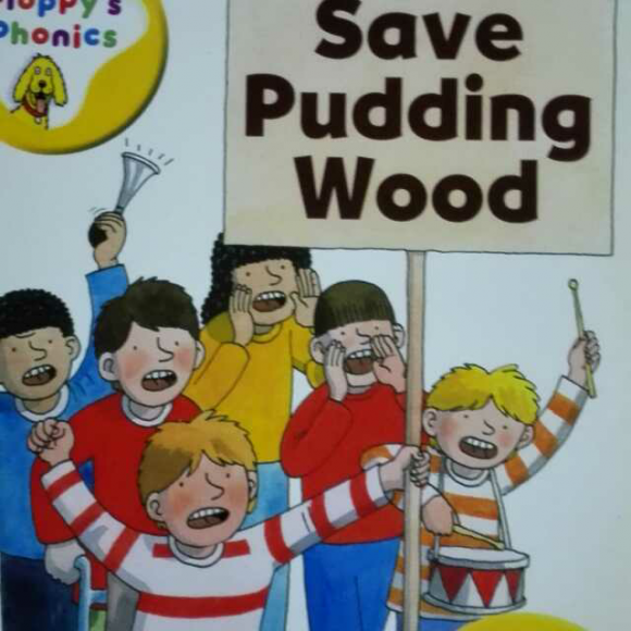 save pudding wood p5-3