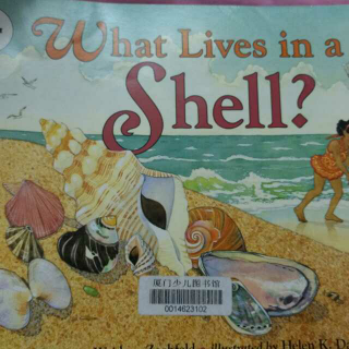 what lives in A shell