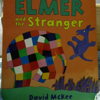 Elmer and the stranger（1）