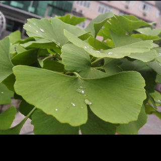 白说：时间轴上的中国