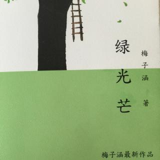 《绿光芒》快递