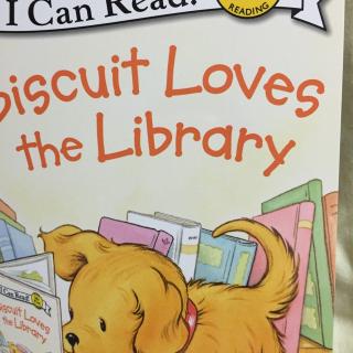 buscuit loves the library1