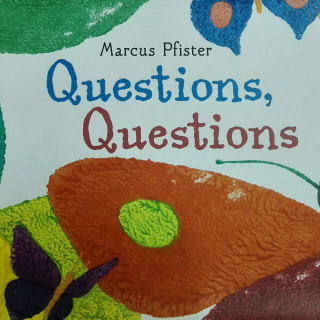 《Questions Questions》