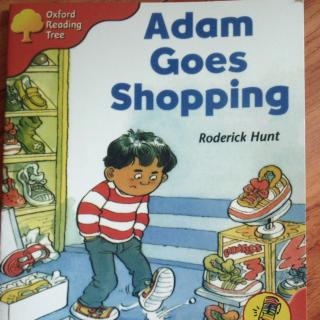 4.6 Adam goes shopping