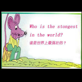 who is the strongest in the world?谁是最强壮的？