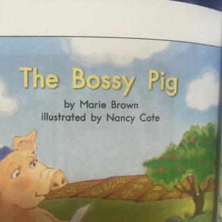 The bossy pig