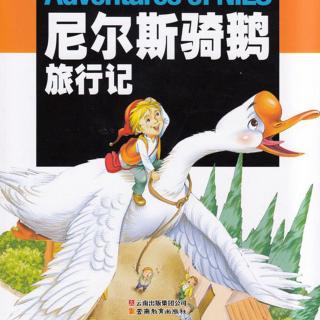 28《尼尔斯骑鹅旅行记》瑟姆兰花园