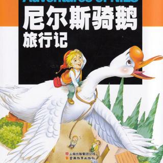 22《尼尔斯骑鹅旅行记》排湖造田