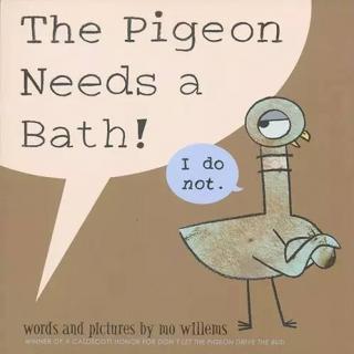 The Pigeon Needs a Bath（蠢萌鸽子洗澡记）