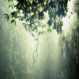  安静的夜、细碎的雨。