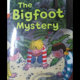 The bigfoot mystery