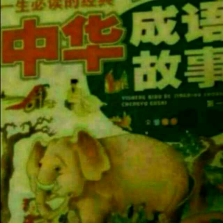 《中华成语故事》（二）11