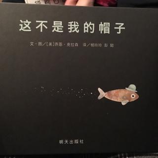 这不是我的帽子