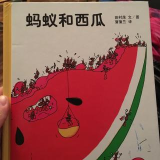 蚂蚁🐜和西瓜🍉