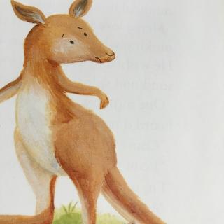 how the kangaroo got his tail