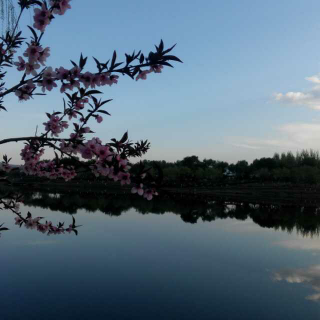 《桃花开了》碑林路人