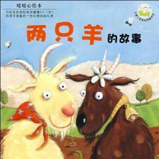 【绘本故事】235.两只羊的故事