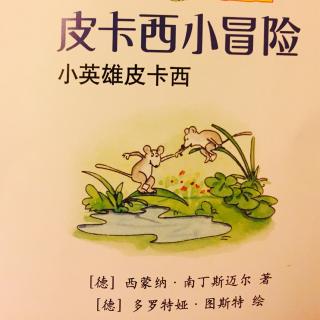 No.117《皮卡西小冒险·小英雄皮卡西》