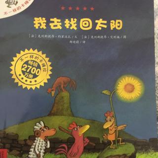 我去找回太阳