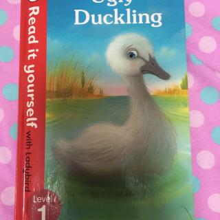 the ugly duckling