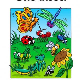 【儿童跟读28】one insect