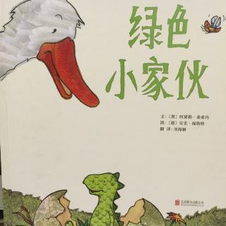 中文绘本《绿色小家伙》