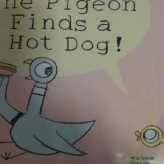 The pigeon finds a hot dog