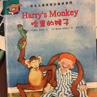 harry's monkey