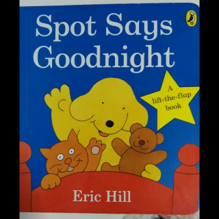 spot says goodnight-Eric Hill
