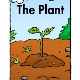 【儿童跟读29】the plant