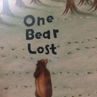 One Bear Lost