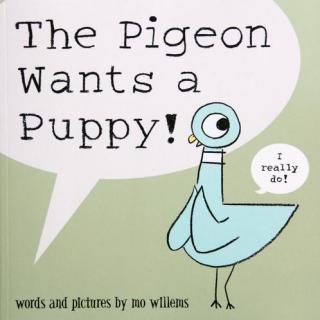 The Pigeon Wants a Puppy(赖皮鸽遭遇小狗狗)